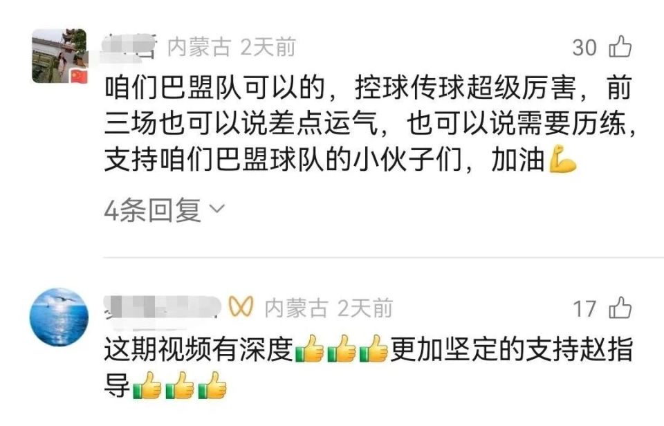 韦嘉, 你们的胜利