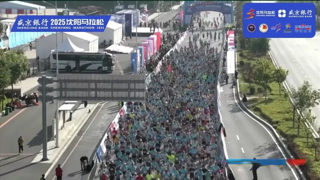 tenan, msn tenan, msn